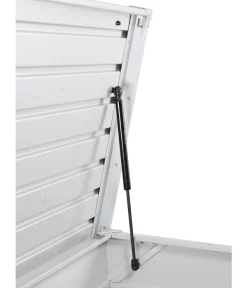 Biohort FreizeitBox 100 10 Biohort FreizeitBox 100 -Gartenbedarf Geschäft 1827286 WE DE 002 BiohortGasdruckfeder FreizeitBox