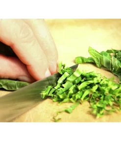 Wasabi -Gartenbedarf Geschäft 20120718 WE MO 003 Wasabi Gs Detail Blaetter schneiden