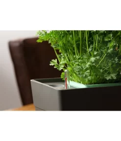 GREENBAR® Kräuterkasten, Ca. B48/H15,5/T16 Cm -Gartenbedarf Geschäft 20150713 350 greenbar fuellanzeiger studio herzig