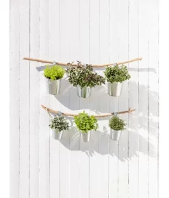 Dehner Gourmet Garten Strauchbasilikum 'Magic Blue' 9 Dehner Gourmet Garten Strauchbasilikum 'Magic Blue' -Gartenbedarf Geschäft 20181011 PR MO 003 Kraeuter 04