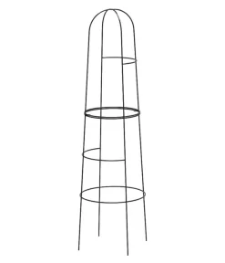 Dehner Obelisk Kuro