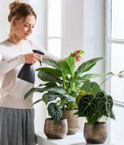 Dehner Keramik-Übertopf Mathea, Bauchig, Gold/braun -Gartenbedarf Geschäft 220527 5178124 PR WE 001 SprueherGrau