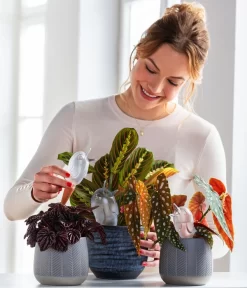 Dehner Keramik-Übertopf Mavie, Rund, Anthrazit 5 Dehner Keramik-Übertopf Mavie, Rund, Anthrazit -Gartenbedarf Geschäft 220527 5356548 WE MO 001 ScheurichWasserspeicherBirdy