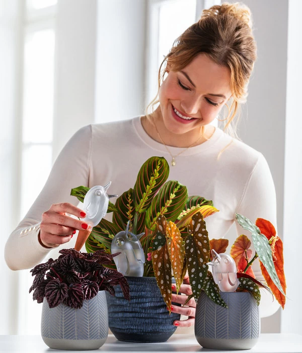 Dehner Keramik-Übertopf Mavie, Rund, Anthrazit 3 Dehner Keramik-Übertopf Mavie, Rund, Anthrazit – Bild 3