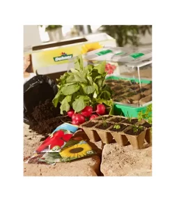 Dehner Zimmergewächshaus Komplett-Set, 38 X 24 X 18 Cm -Gartenbedarf Geschäft 242305 BildM 001 DehnerZimmergewaechshausKomplettSetZimmergewaechshausKompl