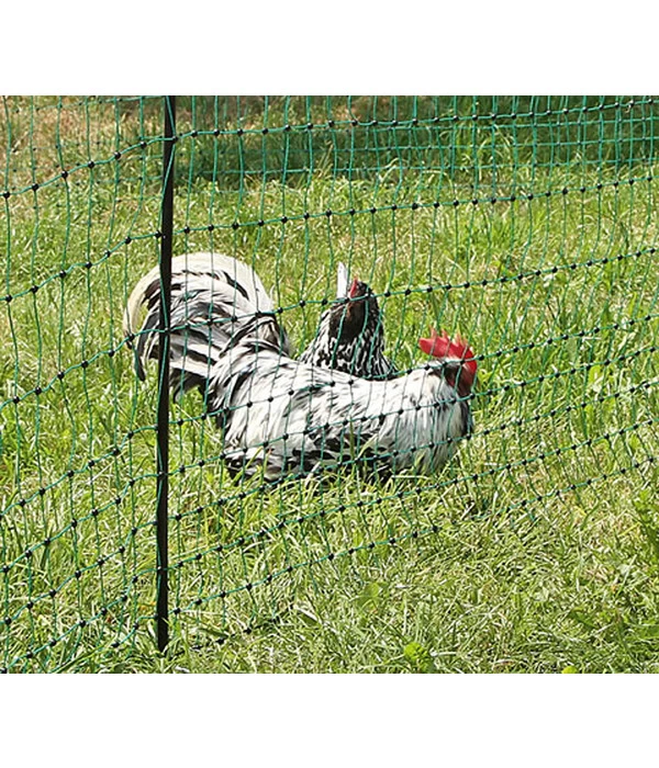 KERBL Geflügelnetz PoultryNet, Doppelspitze, Ca. 25 M 2 KERBL Geflügelnetz PoultryNet, Doppelspitze, Ca. 25 M – Bild 2