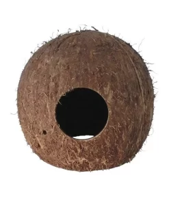 Orbit Kokosnuss Höhle, Medium