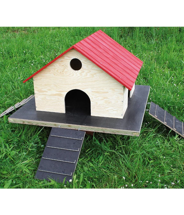 Elmato® Entenhaus Für Teichenten 2 Elmato® Entenhaus Für Teichenten – Bild 2