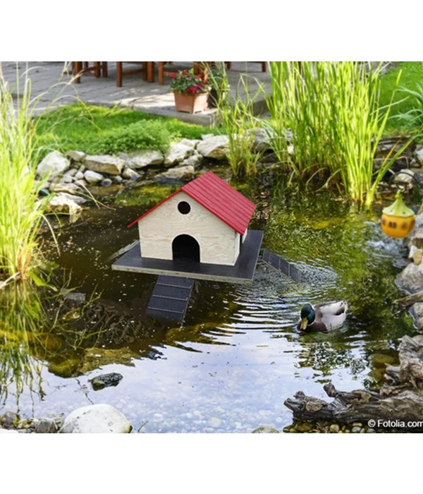 Elmato® Entenhaus Für Teichenten 1 Elmato® Entenhaus Für Teichenten