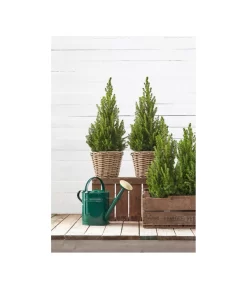 Rattan-Topf, Rund, Grau-braun -Gartenbedarf Geschäft 3679347 3679362 3679578 WE MO 003 Rattantopf