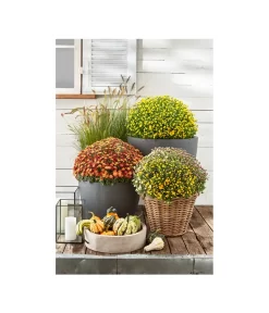 Rattan-Topf, Rund, Grau-braun -Gartenbedarf Geschäft 3679347 3679362 3679578 WE MO 012 RattanTopfrundbraun