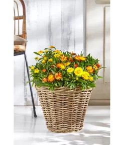 Rattan-Topf, Rund, Grau-braun -Gartenbedarf Geschäft 3679347 3679362 3679578 WE MO 019 RattanTopfrundbraun