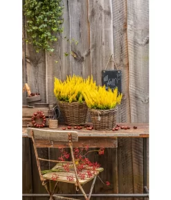 Rattan-Topf, Rund, Grau-braun -Gartenbedarf Geschäft 3679347 3679362 3679578 WE MO 022 RattanTopfrundbraun