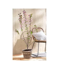 Rattan-Topf, Rund, Grau-braun -Gartenbedarf Geschäft 3679347 PR MO 005 RattanTopf