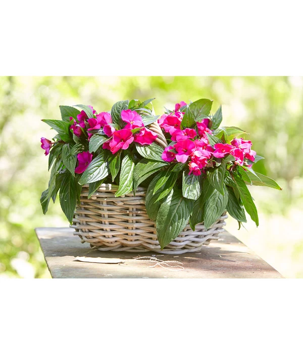 Van Der Leeden Rattan-Korb Mit Henkel, Oval, Braun 2 Van Der Leeden Rattan-Korb Mit Henkel, Oval, Braun – Bild 2