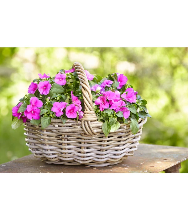 Van Der Leeden Rattan-Korb Mit Henkel, Oval, Braun 3 Van Der Leeden Rattan-Korb Mit Henkel, Oval, Braun – Bild 3