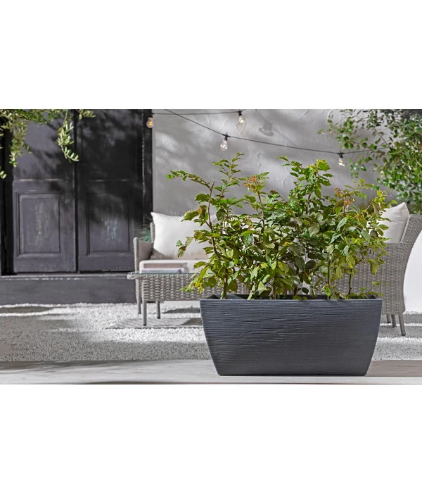 Kunststoff-Pflanzkasten Rille, Ca. B80/H34/T40 Cm, Anthrazit 3 Kunststoff-Pflanzkasten Rille, Ca. B80/H34/T40 Cm, Anthrazit – Bild 3