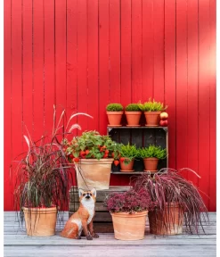 Spang Terrakotta-Topf Toscana, Rund -Gartenbedarf Geschäft 3697612 WE MO 004 TerrakottaTopfToscanarund