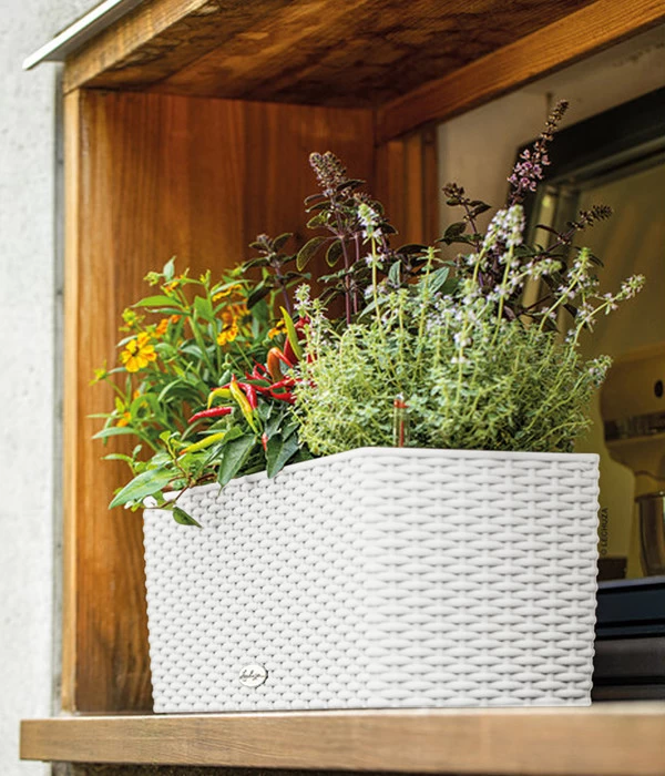LECHUZA® Kunststoff-Kasten Balconera Cottage, Rechteckig 9 LECHUZA® Kunststoff-Kasten Balconera Cottage, Rechteckig – Bild 9