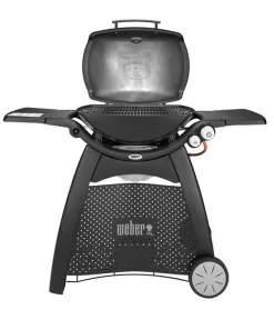 Weber Gasgrill Q 3000, 63 X 45 Cm -Gartenbedarf Geschäft 4073334 WE FS 003 WeberQ3000Black