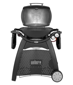 Weber Gasgrill Q 3000, 63 X 45 Cm -Gartenbedarf Geschäft 4073334 WE FS 004 WeberQ3000Black