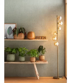 Korbmarante - Calathea Mosaica -Gartenbedarf Geschäft 4073847 PR MO 001 JardiniereTopfVaseSafirGelbGruen 4077731 4069274 4072542 4092896