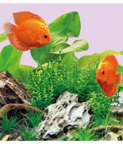 JUWEL® AQUARIUM Aquariumbeleuchtung LED Colour -Gartenbedarf Geschäft 4095105 WE M 001 JuwelColourLED