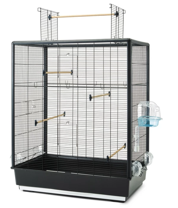 SAVIC Vogelheim Primo 60 Open Empire 2 SAVIC Vogelheim Primo 60 Open Empire – Bild 2