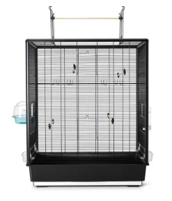 SAVIC Vogelheim Primo 60 Open Empire