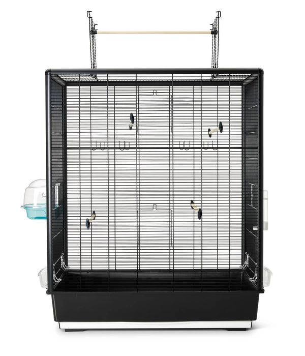 SAVIC Vogelheim Primo 60 Open Empire 1 SAVIC Vogelheim Primo 60 Open Empire