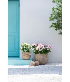 Dehner Terrakotta-Topf Imperia, Rund, Antik-terrakotta 9 Dehner Terrakotta-Topf Imperia, Rund, Antik-terrakotta -Gartenbedarf Geschäft 4272639 4272670 WE MO 003 DehnerTerrakottaTopf