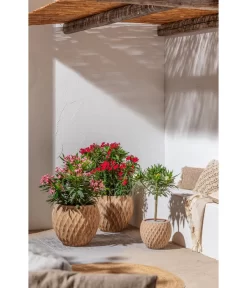 Dehner Terrakotta-Topf Imperia, Rund, Antik-terrakotta 10 Dehner Terrakotta-Topf Imperia, Rund, Antik-terrakotta -Gartenbedarf Geschäft 4272639 4272670 WE MO 004 DehnerTerrakottaTopf