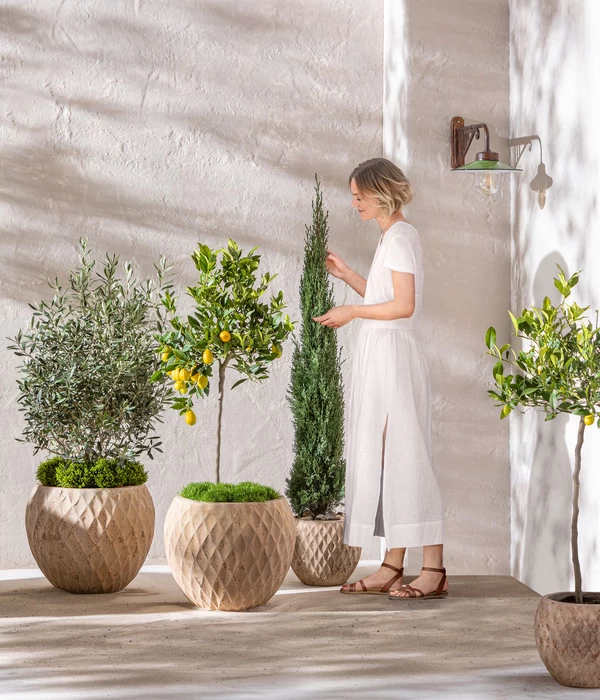 Dehner Terrakotta-Topf Imperia, Rund, Antik-terrakotta 6 Dehner Terrakotta-Topf Imperia, Rund, Antik-terrakotta – Bild 6