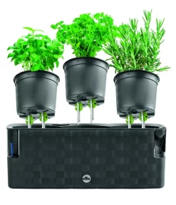 Dehner Kunststoff-Kasten Mona, Trio, Ca. B40/H14/T14 Cm -Gartenbedarf Geschäft 4320768 PR FS 003 TopfMonaTrioAnthrazitDehnerExpressHerzig