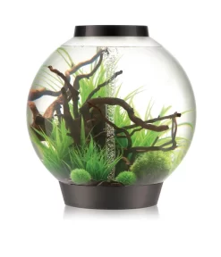 BiOrb® Aquarium CLASSIC 105 MCR