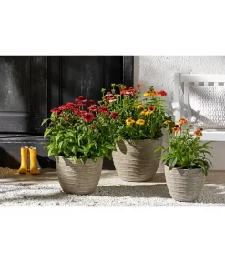 Dehner Leichtbeton-Topf Prunus, Graubraun -Gartenbedarf Geschäft 4440772 WE MO 001 DehnerLeichtbetonTopfPrunus