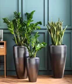 Dehner Keramik-Vase Lissabon Mit LECHUZA® Bewässerungssystem, Konisch -Gartenbedarf Geschäft 4448833 4448858 4448841 WE MO 002 PflanzvaseLissabonAnthrazit