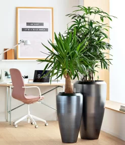 Dehner Keramik-Vase Lissabon Mit LECHUZA® Bewässerungssystem, Konisch -Gartenbedarf Geschäft 4448833 WE MO 001 KeramikVaseLissabon