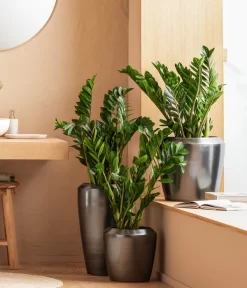 Dehner Keramik-Vase Lissabon Mit LECHUZA® Bewässerungssystem, Konisch -Gartenbedarf Geschäft 4448833 WE MO 001 LissbonKeramik Content