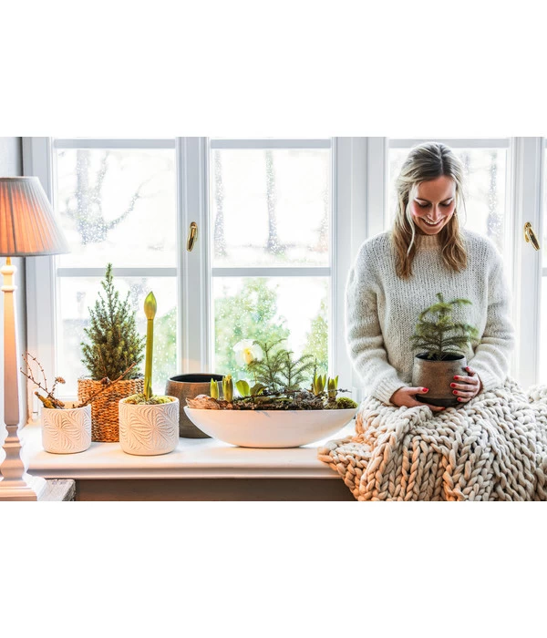 Dehner Keramik-Jardiniere Luisa, Oval, Weiß, Ca. B51/H12,5 Cm 2 Dehner Keramik-Jardiniere Luisa, Oval, Weiß, Ca. B51/H12,5 Cm – Bild 2