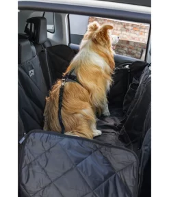 Dehner Autoschondecke Drive, Ca. B137/T147 Cm -Gartenbedarf Geschäft 4462347 WE MO 002 DehnerLieblingeAutoschondeckeRuecksitzbankSicherheitsgurt