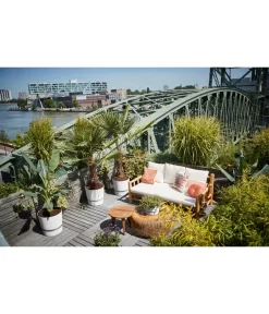 Elho Kunststoff-Topf Greenville 8 Elho Kunststoff-Topf Greenville -Gartenbedarf Geschäft 4474318 4474342 WE MO 003 elhoKunststoffTopfGreenville