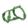 Das Lederband Hundegeschirr Style Barcelona Summer-Green