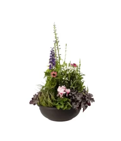 Vasar Kunststoff-Schale Aurora, Rund, Terrakotta -Gartenbedarf Geschäft 5187752 BildFS 001 KunststoffschaleAuroraBraunBepflanztHerbstGross