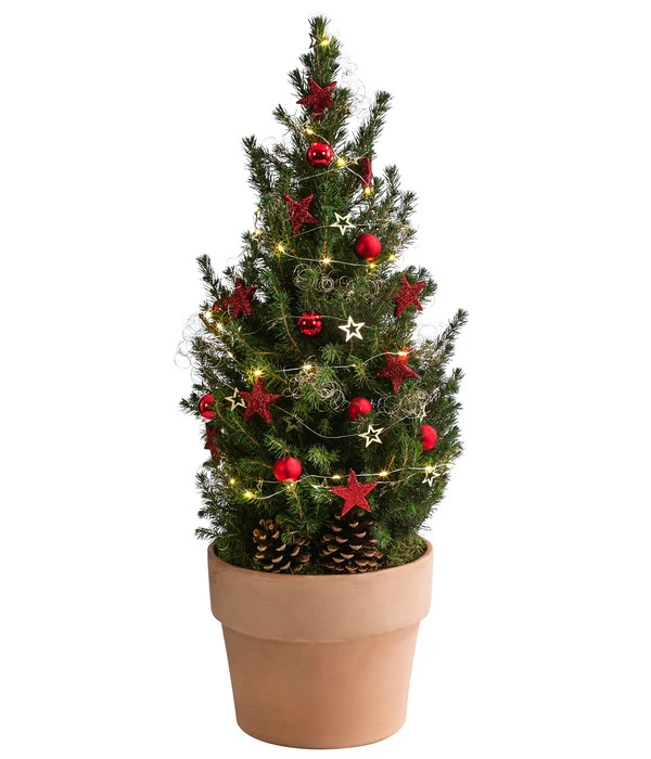 Geschmückter Weihnachtsbaum Terra, Mit Lichterkette, Ca. H70 Cm 1 Geschmückter Weihnachtsbaum Terra, Mit Lichterkette, Ca. H70 Cm