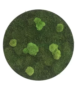StyleGREEN Bild Aus Wald- Und Kugelmoos, Kreisförmig, Ca. Ø80 Cm