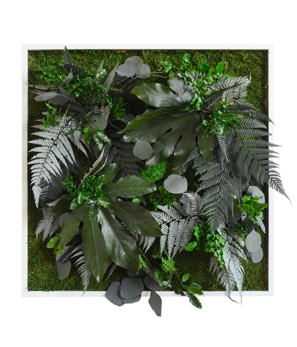 StyleGREEN Bild Aus Wald- Und Kugelmoos, Quadratisch, Ca. B55/H55/T17 Cm 1 StyleGREEN Bild Aus Wald- Und Kugelmoos, Quadratisch, Ca. B55/H55/T17 Cm