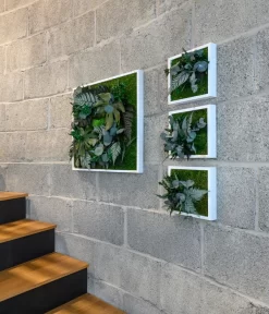 StyleGREEN Bild Aus Wald- Und Kugelmoos, Quadratisch, Ca. B55/H55/T17 Cm 5 StyleGREEN Bild Aus Wald- Und Kugelmoos, Quadratisch, Ca. B55/H55/T17 Cm -Gartenbedarf Geschäft 6429815 WE MO 001 Pflanzenbild55x55cm