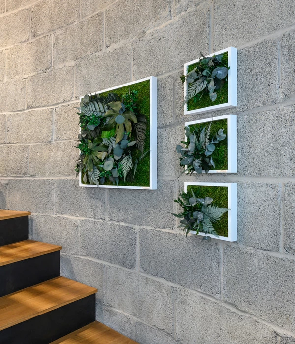 StyleGREEN Bild Aus Wald- Und Kugelmoos, Quadratisch, Ca. B55/H55/T17 Cm 3 StyleGREEN Bild Aus Wald- Und Kugelmoos, Quadratisch, Ca. B55/H55/T17 Cm – Bild 3