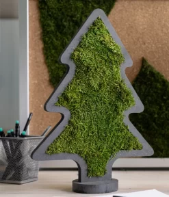 StyleGREEN Weihnachtsbaum Aus Waldmoos, Ca. B27/H37/T2 Cm -Gartenbedarf Geschäft 6429971 WE MO 002 MoosWeihnachtsbaumNoel37x27cmStylegreen